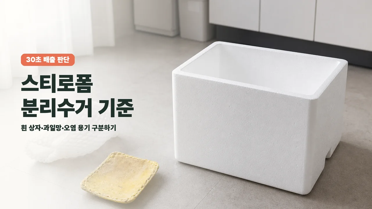 스티로폼 분리수거 방법: 과일망·컵라면 용기까지 구분