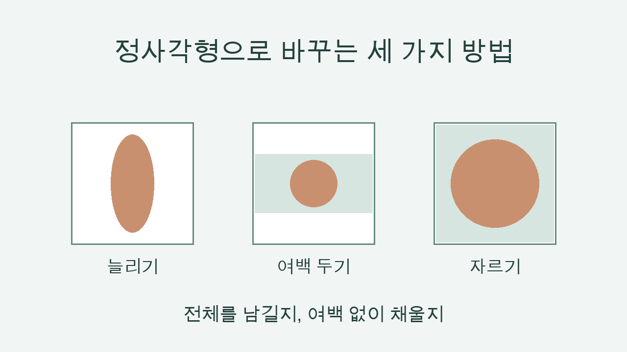 사진이 길쭉해졌다면? 정사각형으로 바꾸는 세 가지 방법